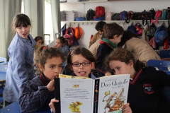 IMG_0152__Copiar_-8267