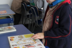 IMG_0154__Copiar_-8268