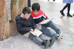 IMG_0167__Copiar_-8274