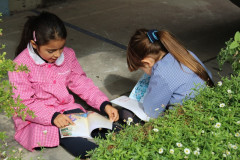 IMG_0169__Copiar_-8276