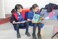 IMG_0173__Copiar_-8279