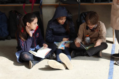 IMG_0175__Copiar_-8280