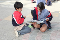 IMG_0179__Copiar_-8284