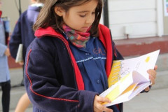 IMG_0184__Copiar_-8290