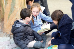 IMG_0185__Copiar_-8291