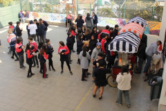 IMG_0256__Copiar_-8316