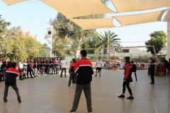 IMG_0284__Copiar_-8323