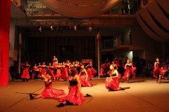 IMG_2831__Copiar_-8510