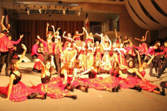 IMG_2853__Copiar_-8518