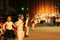 IMG_4411__Copiar_-8696