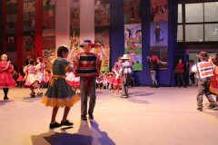 IMG_4420__Copiar_-8701