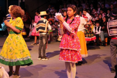 IMG_4538__Copiar_-8751