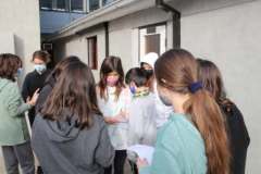 IMG_2666