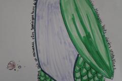 IMG_5515-1
