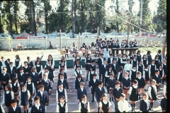 F1000022_372-4541-800-600-80