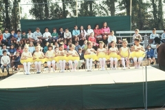 F1010003_377-4546-800-600-80