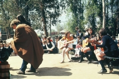 F1010004_378-4547-800-600-80