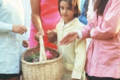 F1010008_380-4549-800-600-80